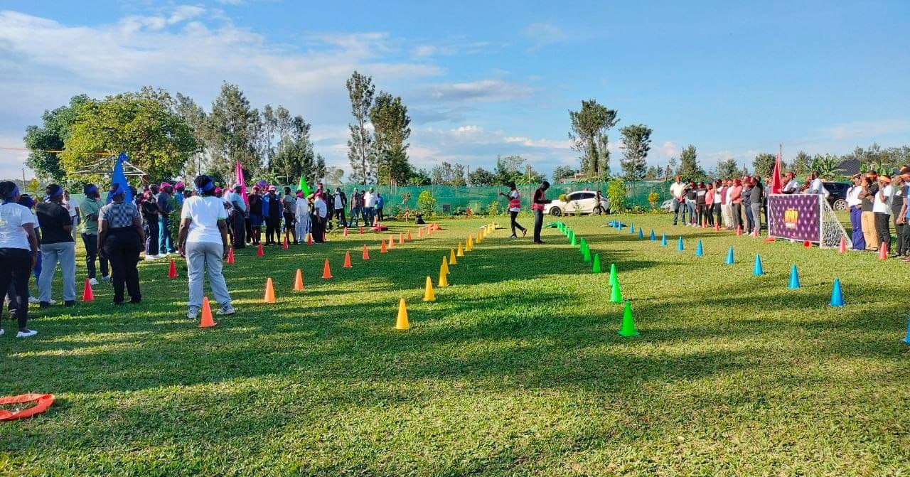 Guests enjoying activities